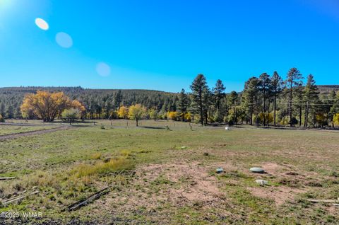 Tiny photo for 685 Kuhn Road, Pinedale, AZ 85934 (MLS # 258520)