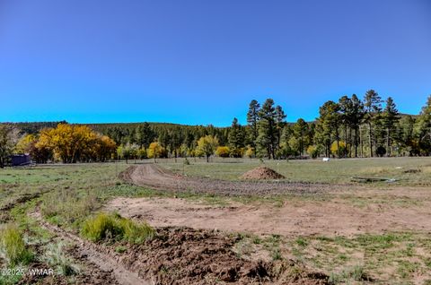 Tiny photo for 685 Kuhn Road, Pinedale, AZ 85934 (MLS # 258520)