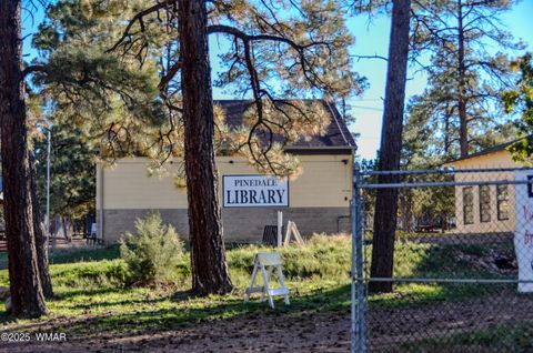 Tiny photo for 685 Kuhn Road, Pinedale, AZ 85934 (MLS # 258520)