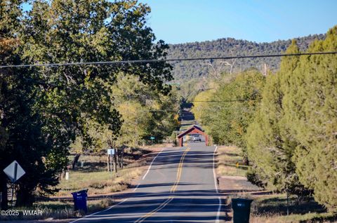 Tiny photo for 685 Kuhn Road, Pinedale, AZ 85934 (MLS # 258520)