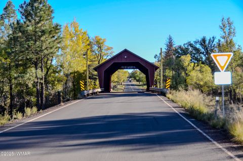 Tiny photo for 685 Kuhn Road, Pinedale, AZ 85934 (MLS # 258520)