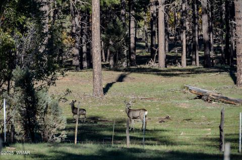 Tiny photo for 685 Kuhn Road, Pinedale, AZ 85934 (MLS # 258520)