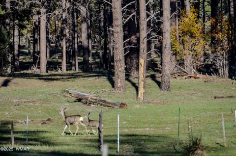 Tiny photo for 685 Kuhn Road, Pinedale, AZ 85934 (MLS # 258520)