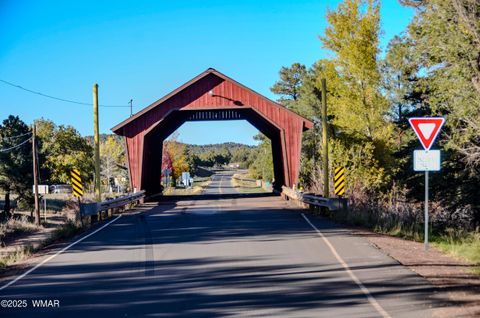 Tiny photo for 685 Kuhn Road, Pinedale, AZ 85934 (MLS # 258520)