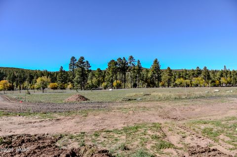 Tiny photo for 685 Kuhn Road, Pinedale, AZ 85934 (MLS # 258520)