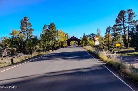 Tiny photo for 685 Kuhn Road, Pinedale, AZ 85934 (MLS # 258520)