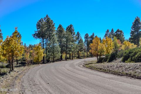 Tiny photo for 685 Kuhn Road, Pinedale, AZ 85934 (MLS # 258520)