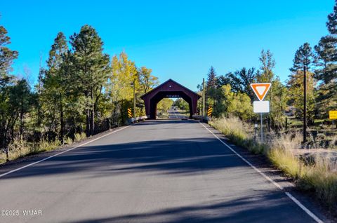 Tiny photo for 685 Kuhn Road, Pinedale, AZ 85934 (MLS # 258520)