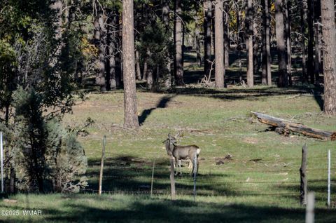 Tiny photo for 685 Kuhn Road, Pinedale, AZ 85934 (MLS # 258520)