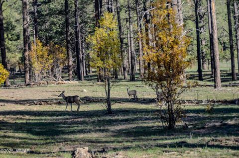 Tiny photo for 685 Kuhn Road, Pinedale, AZ 85934 (MLS # 258520)