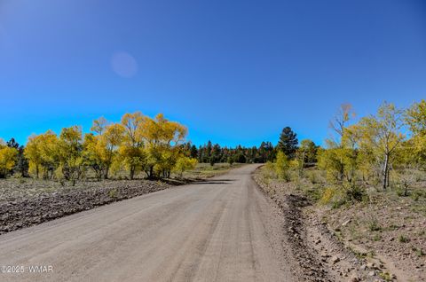 Tiny photo for 685 Kuhn Road, Pinedale, AZ 85934 (MLS # 258520)
