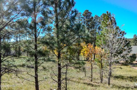 Tiny photo for 685 Kuhn Road, Pinedale, AZ 85934 (MLS # 258520)