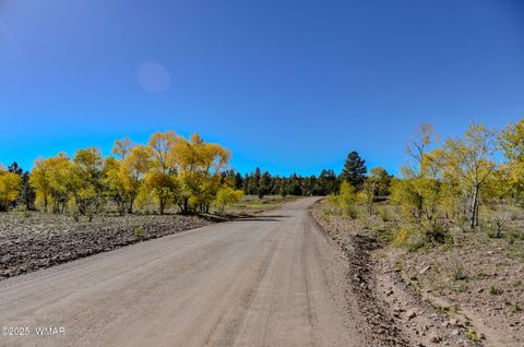 Tiny photo for 685 Kuhn Road, Pinedale, AZ 85934 (MLS # 258520)