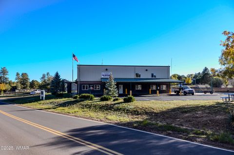 Tiny photo for 685 Kuhn Road, Pinedale, AZ 85934 (MLS # 258520)