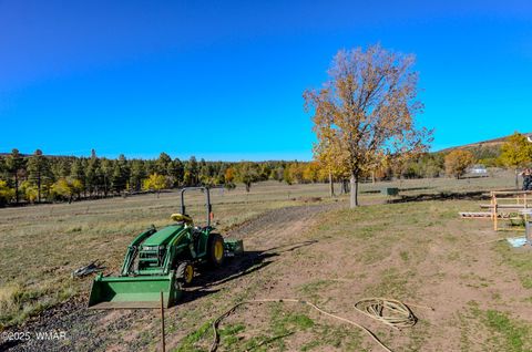 Tiny photo for 685 Kuhn Road, Pinedale, AZ 85934 (MLS # 258520)