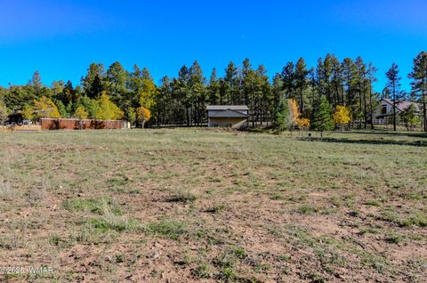 Tiny photo for 685 Kuhn Road, Pinedale, AZ 85934 (MLS # 258520)
