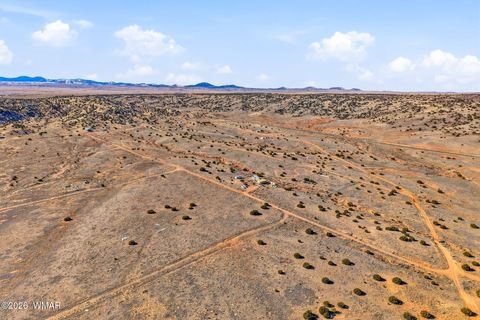 Tiny photo for 4016 North, Saint Johns, AZ 85936 (MLS # 259177)