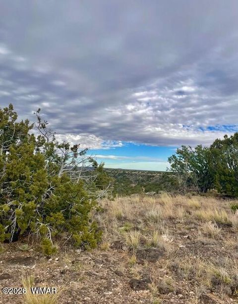 Tiny photo for 4016 North, Saint Johns, AZ 85936 (MLS # 259177)