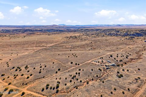 Tiny photo for 4016 North, Saint Johns, AZ 85936 (MLS # 259177)