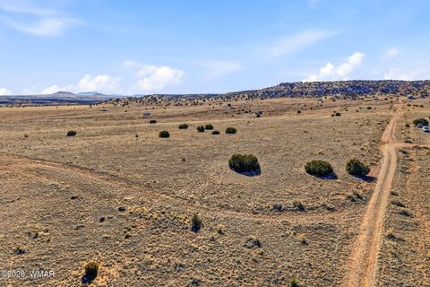 Photo of 4016 North, Saint Johns, AZ 85936 (MLS # 259177)