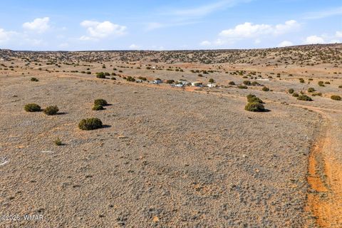 Tiny photo for 4016 North, Saint Johns, AZ 85936 (MLS # 259177)