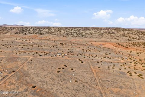 Tiny photo for 4016 North, Saint Johns, AZ 85936 (MLS # 259177)