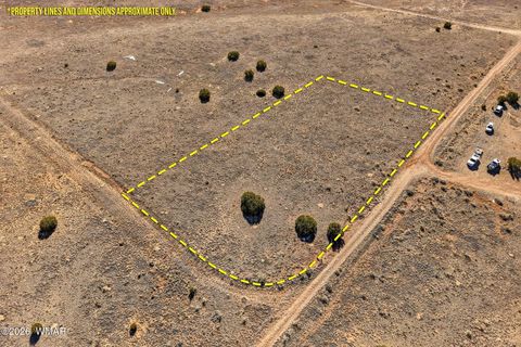 Tiny photo for 4016 North, Saint Johns, AZ 85936 (MLS # 259177)