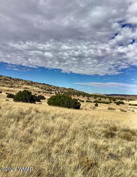 Tiny photo for 4016 North, Saint Johns, AZ 85936 (MLS # 259177)