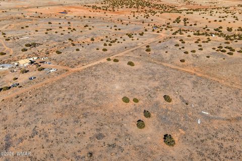 Tiny photo for 4016 North, Saint Johns, AZ 85936 (MLS # 259177)