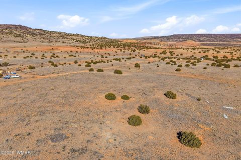 Tiny photo for 4016 North, Saint Johns, AZ 85936 (MLS # 259177)