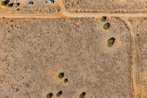 Tiny photo for 4016 North, Saint Johns, AZ 85936 (MLS # 259177)