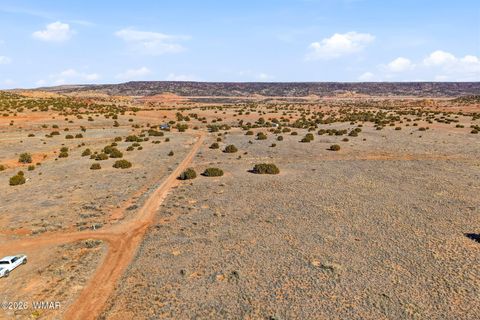 Tiny photo for 4016 North, Saint Johns, AZ 85936 (MLS # 259177)