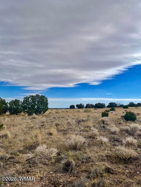 Tiny photo for 4016 North, Saint Johns, AZ 85936 (MLS # 259177)