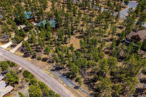 Tiny photo for 2501 S Pine Wood Lane, Pinetop, AZ 85935 (MLS # 255600)