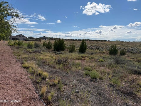 Tiny photo for 28 S Frontier Parkway, Snowflake, AZ 85937 (MLS # 262727)