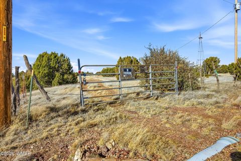Tiny photo for TBD Grant Road, Show Low, AZ 85901 (MLS # 259044)