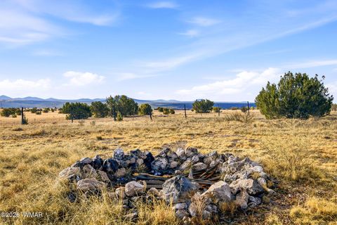 Tiny photo for TBD Grant Road, Show Low, AZ 85901 (MLS # 259044)