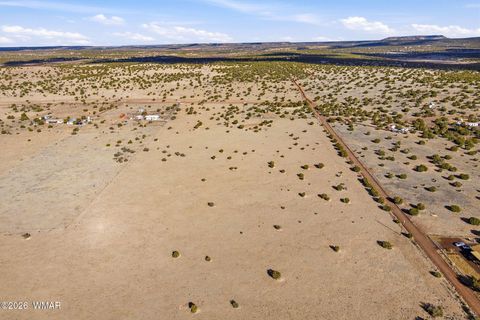 Tiny photo for TBD Grant Road, Show Low, AZ 85901 (MLS # 259044)