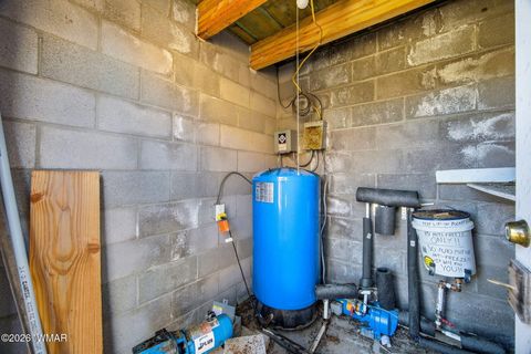 Tiny photo for TBD Grant Road, Show Low, AZ 85901 (MLS # 259044)