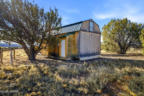 Tiny photo for TBD Grant Road, Show Low, AZ 85901 (MLS # 259044)