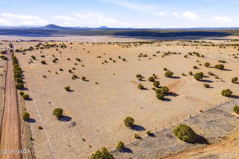 Tiny photo for TBD Grant Road, Show Low, AZ 85901 (MLS # 259044)