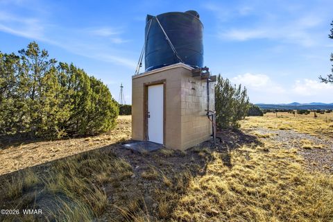 Tiny photo for TBD Grant Road, Show Low, AZ 85901 (MLS # 259044)