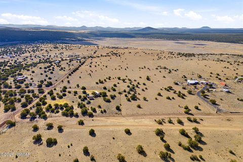 Tiny photo for TBD Grant Road, Show Low, AZ 85901 (MLS # 259044)