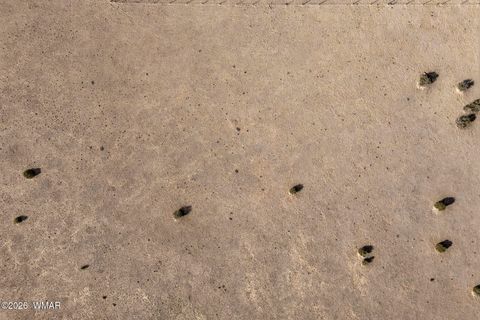 Tiny photo for TBD Grant Road, Show Low, AZ 85901 (MLS # 259044)