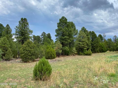 Photo of 2026 State Route 277, Heber, AZ 85928 (MLS # 260729)