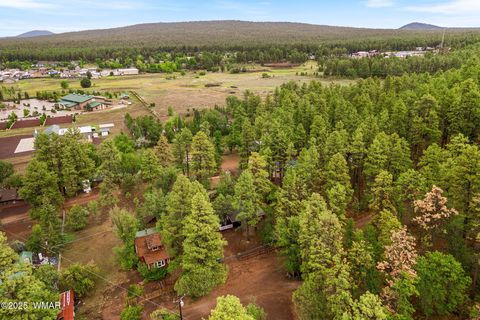 Tiny photo for 2249 S Penrod Lane, Pinetop, AZ 85935 (MLS # 257846)