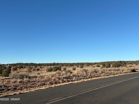 Photo of 8581 Concho Highway, Snowflake, AZ 85937 (MLS # 259500)