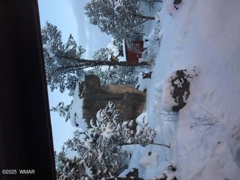 Tiny photo for 3424 Butts Lane, Heber, AZ 85928 (MLS # 258385)