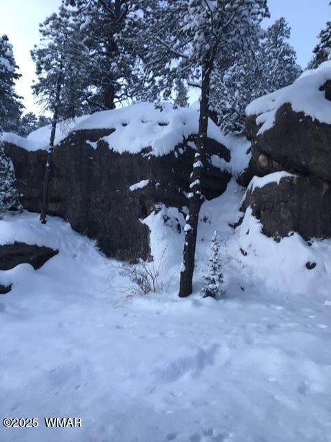 Tiny photo for 3424 Butts Lane, Heber, AZ 85928 (MLS # 258385)