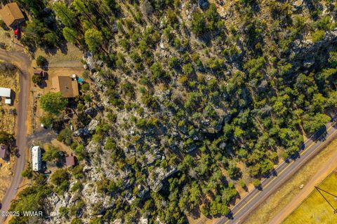 Tiny photo for 3424 Butts Lane, Heber, AZ 85928 (MLS # 258385)